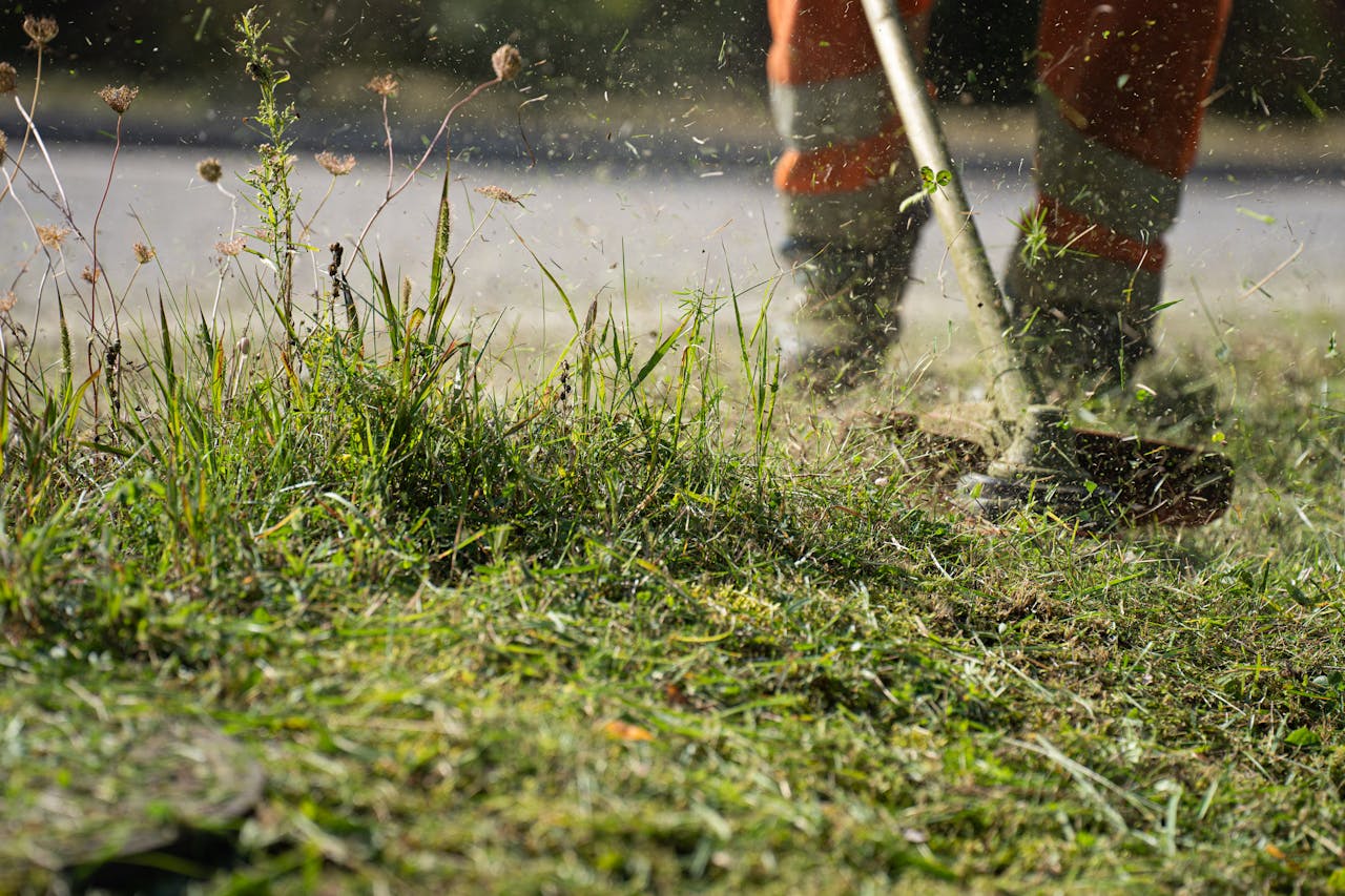 gallery-3 A worker in protective gear using a grass cutter to trim grass, capturing the dynamic action and flying clippings.